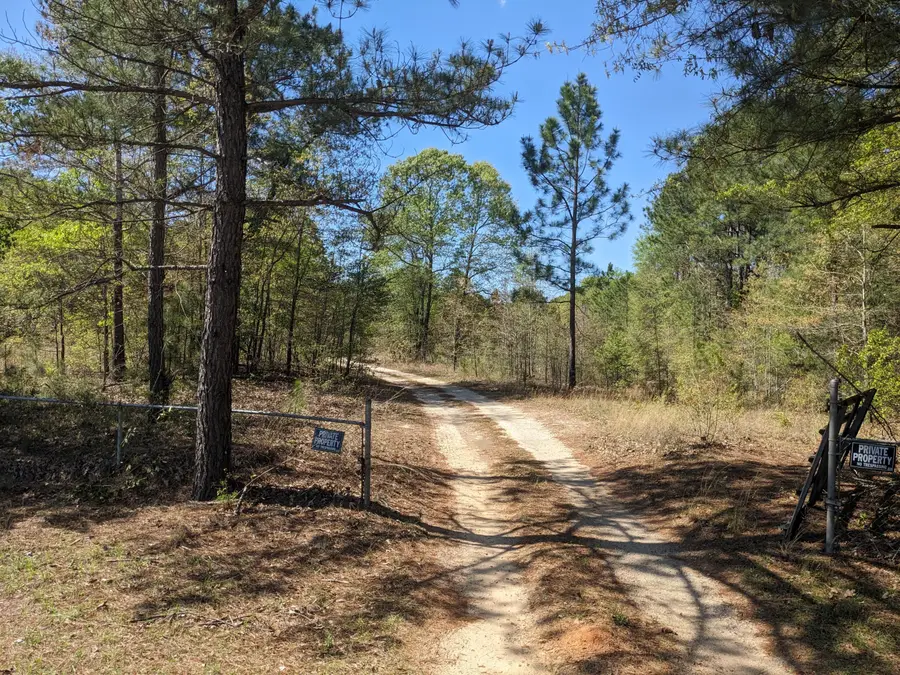 4781 Deans Bridge Road, Blythe, GA 30805 - #2
