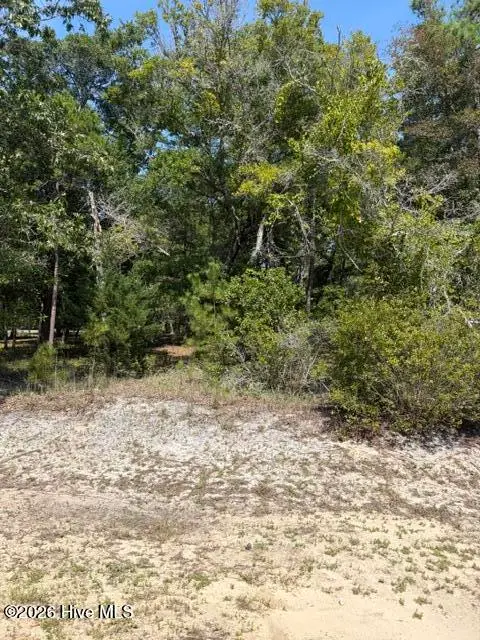3374 Sandridge Lane Sw, Supply, NC 28462