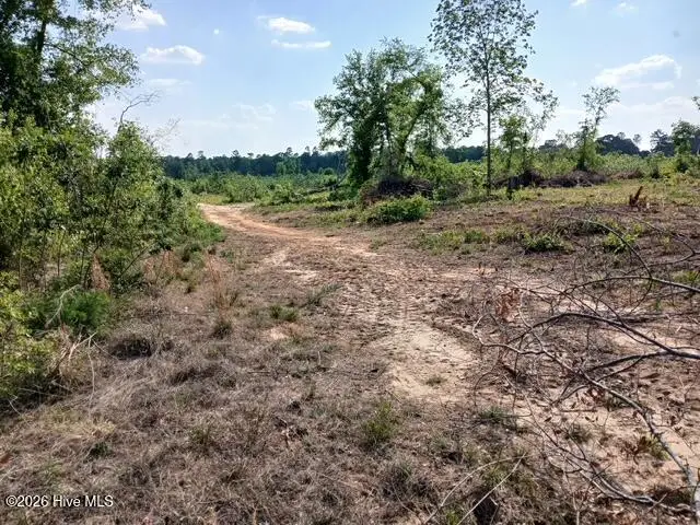 1570 Hephzibah - Mcbean Road, Hephzibah, GA 30815 - #2