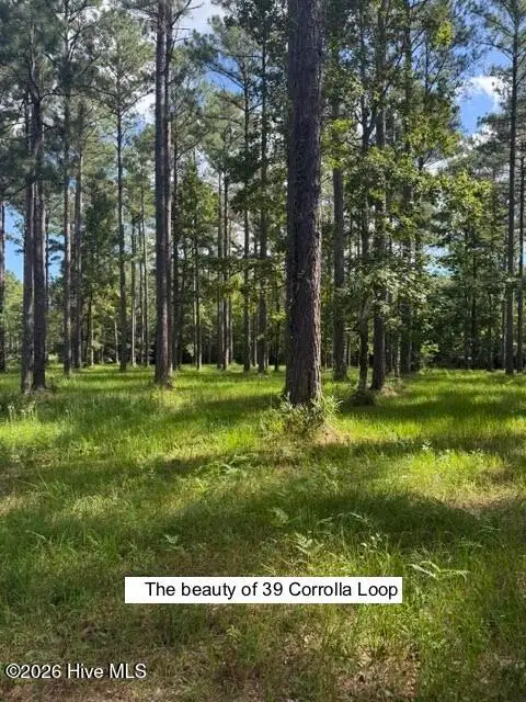 39 Corrolla Loop Road, Oriental, NC 28571 - #1