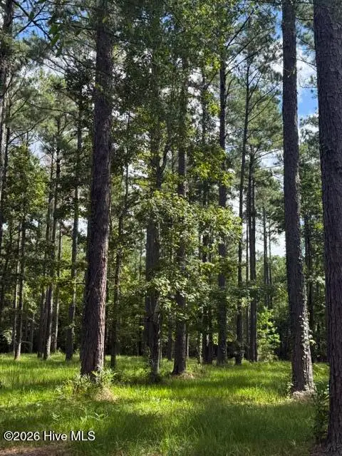 39 Corrolla Loop Road, Oriental, NC 28571 - #3
