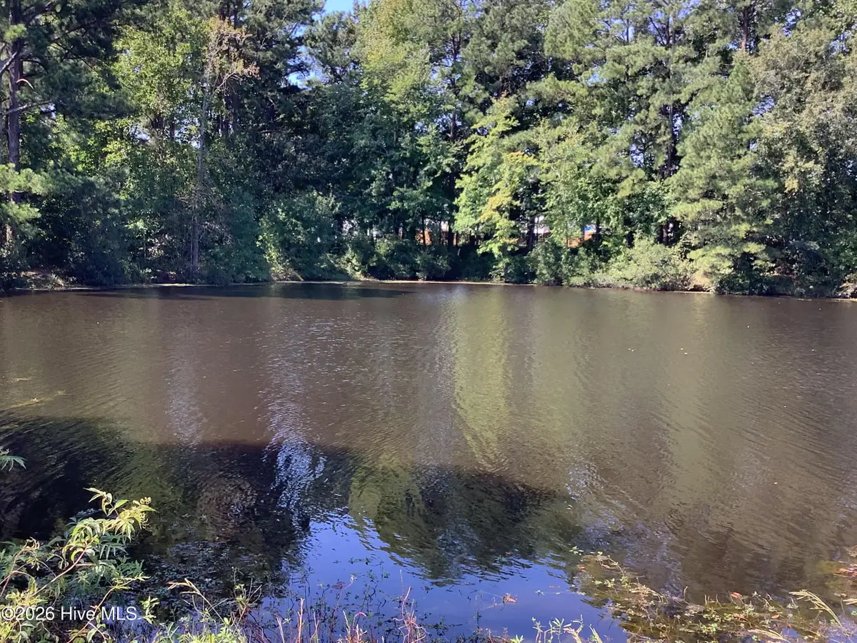 455 Tralee Drive, Smithfield, NC 27577 - #1