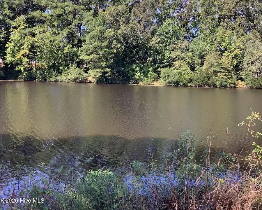 455 Tralee Drive, Smithfield, NC 27577 - #2
