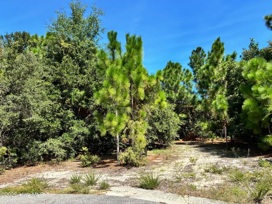 421 Bobby Jones Drive, Wilmington, NC 28412 - #2