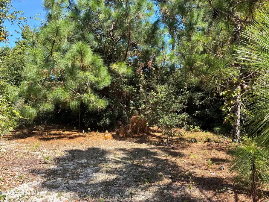 421 Bobby Jones Drive, Wilmington, NC 28412 - #3