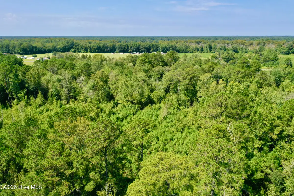 0 Bud Stephens Road, Evergreen, NC 28438 - #1