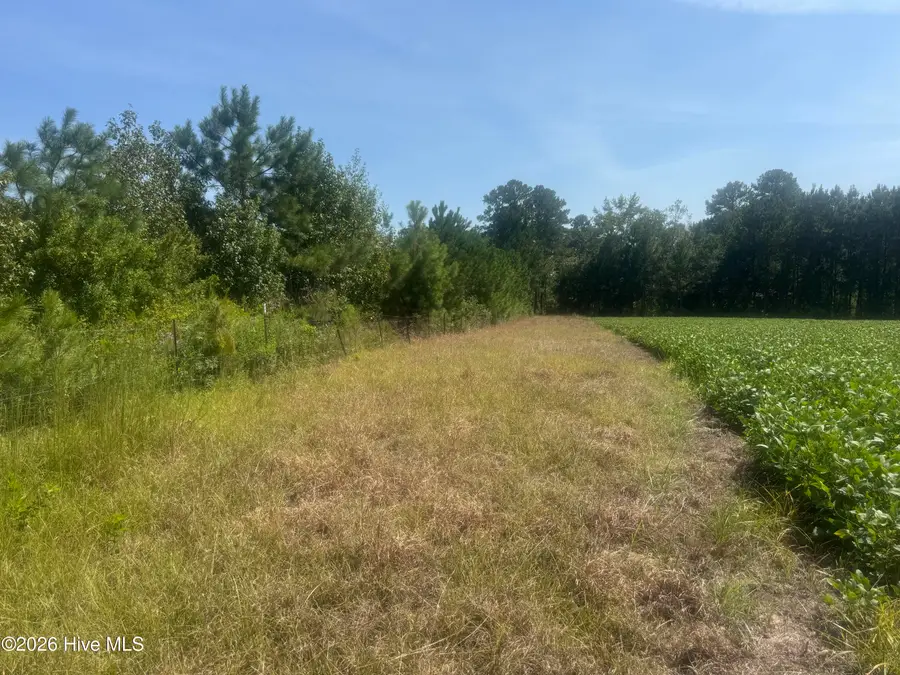 0 Bud Stephens Road, Evergreen, NC 28438 - #2