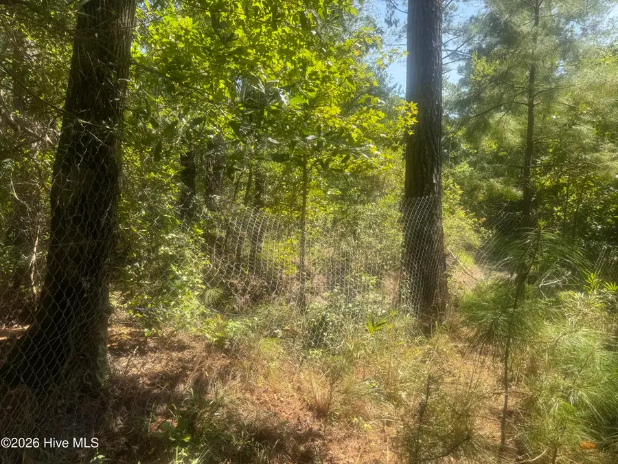 0 Bud Stephens Road, Evergreen, NC 28438 - #3