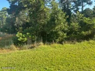 1616 Caracara Drive, New Bern, NC 28560 - #1
