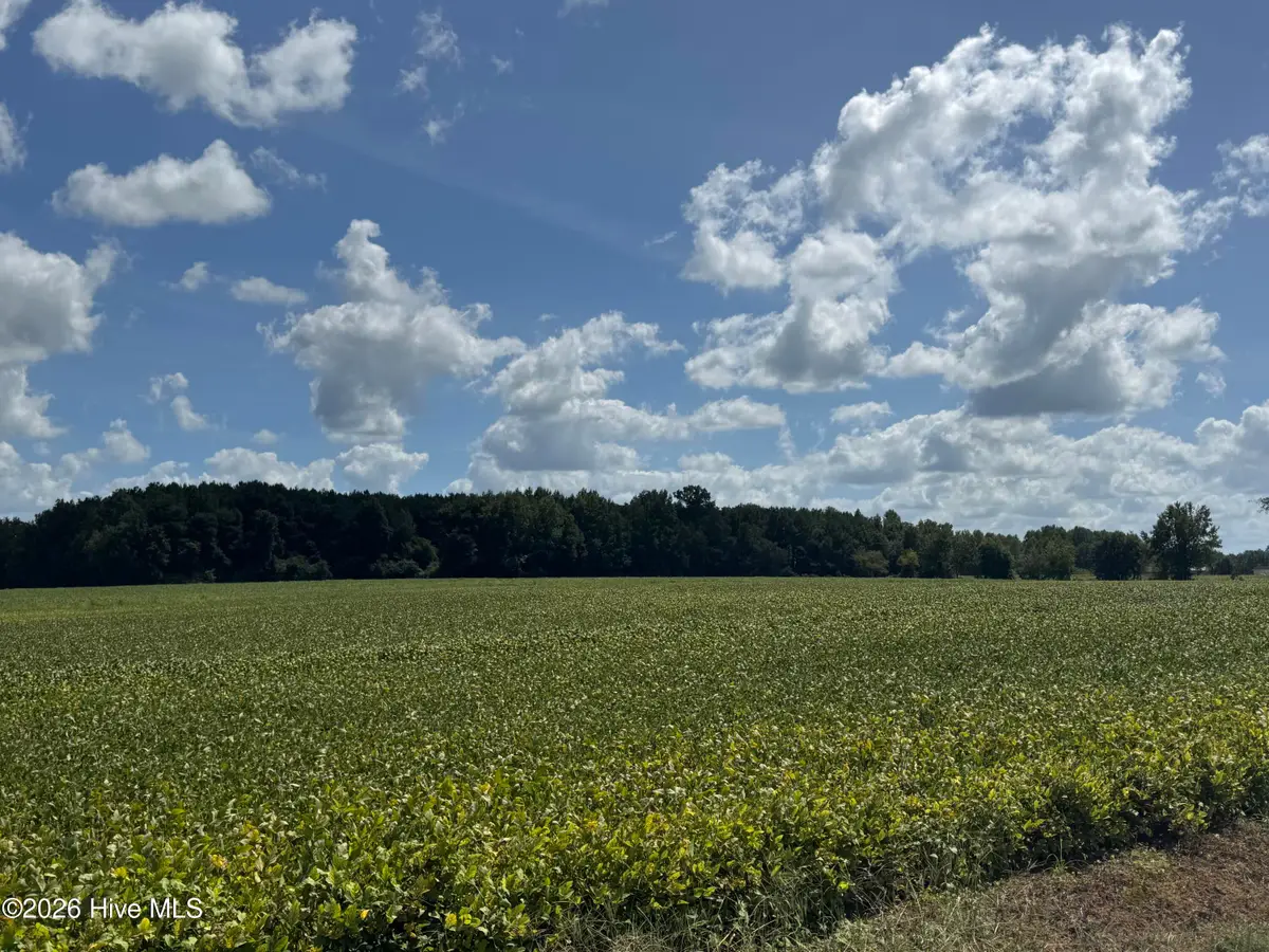 Near 257 A M Godwin Road, Clarendon, NC 28432 - #1