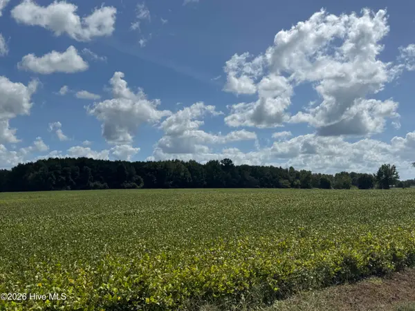Near 257 A M Godwin Road, Clarendon, NC 28432