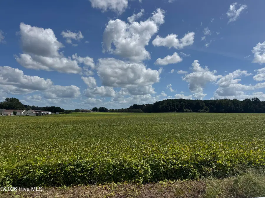 Near 257 A M Godwin Road, Clarendon, NC 28432 - #2