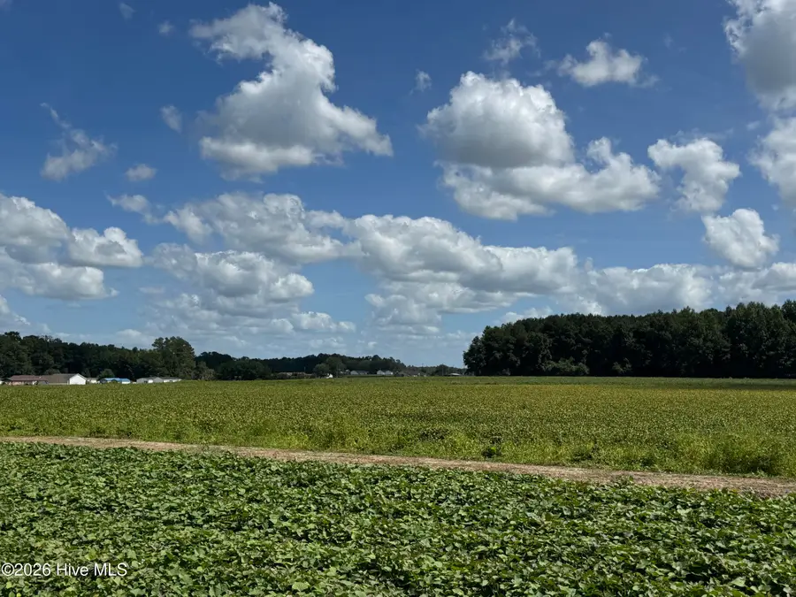 Near 257 A M Godwin Road, Clarendon, NC 28432 - #3