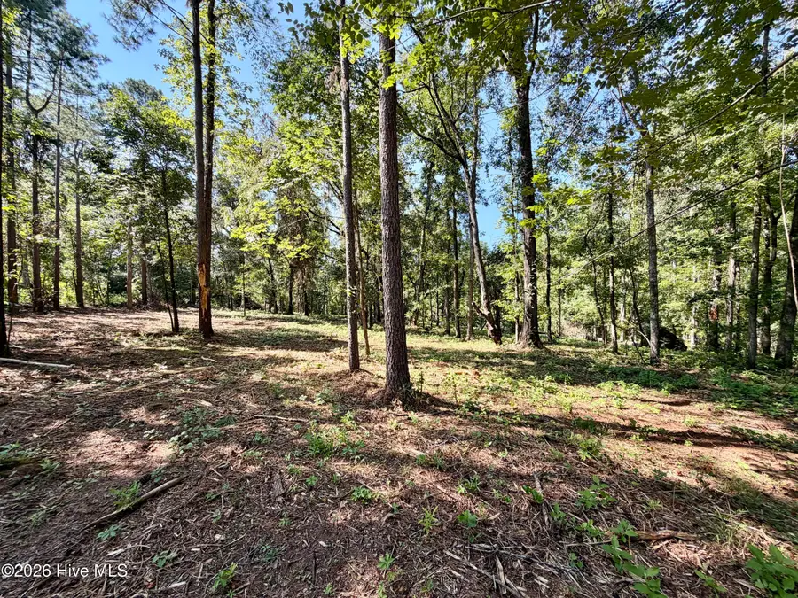 111 Vanna Lane, Waynesboro, GA 30830 - #2