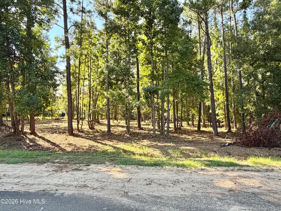 111 Vanna Lane, Waynesboro, GA 30830 - #3