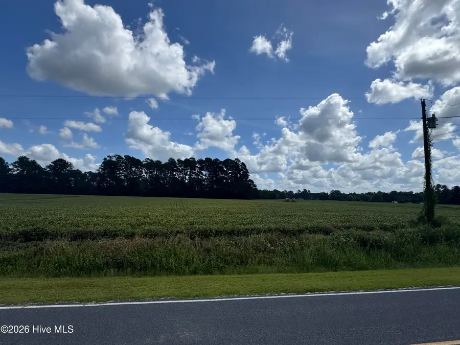 Near 722 Jd Cartrette Road, Chadbourn, NC 28431 - #2