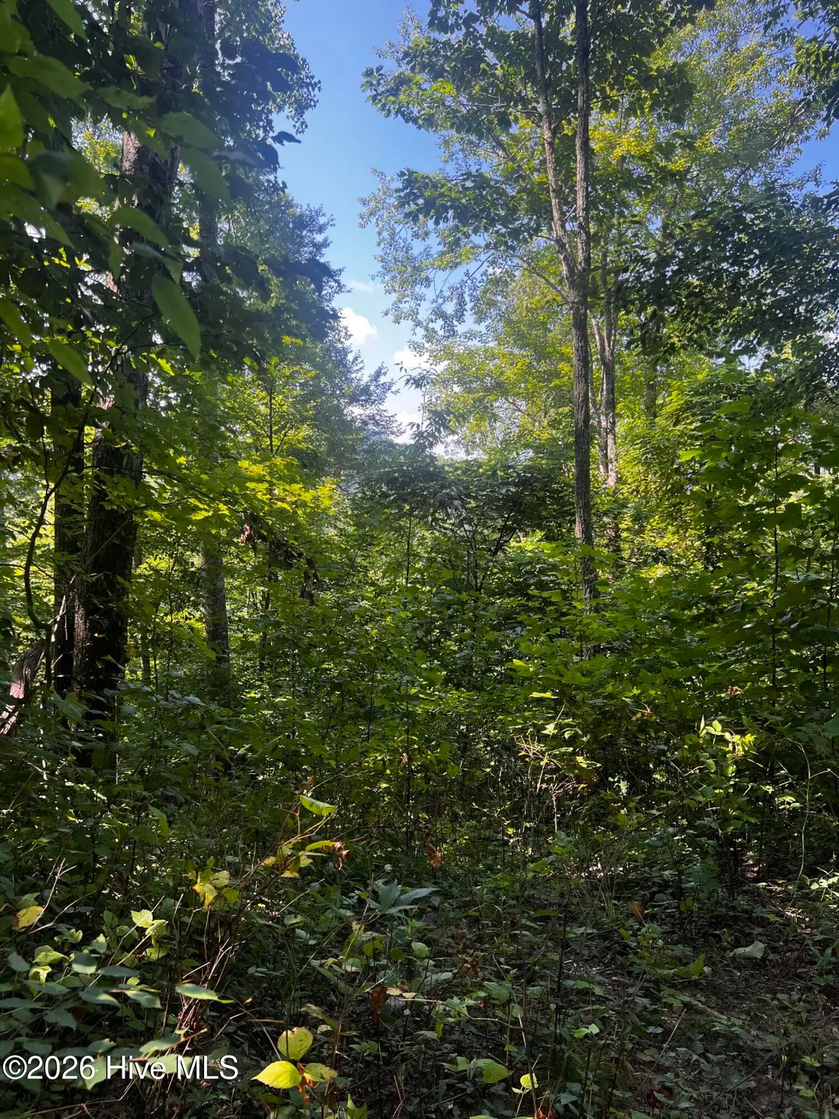 00 Kenneths Cove, Topton, NC 28781 - #1