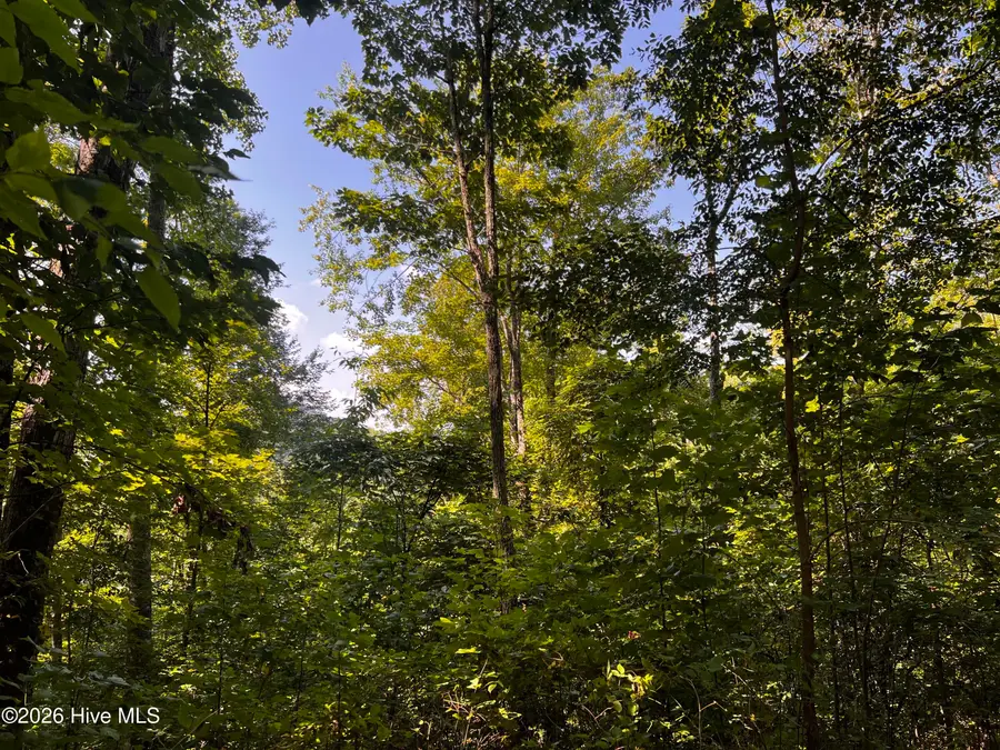 00 Kenneths Cove, Topton, NC 28781 - #3