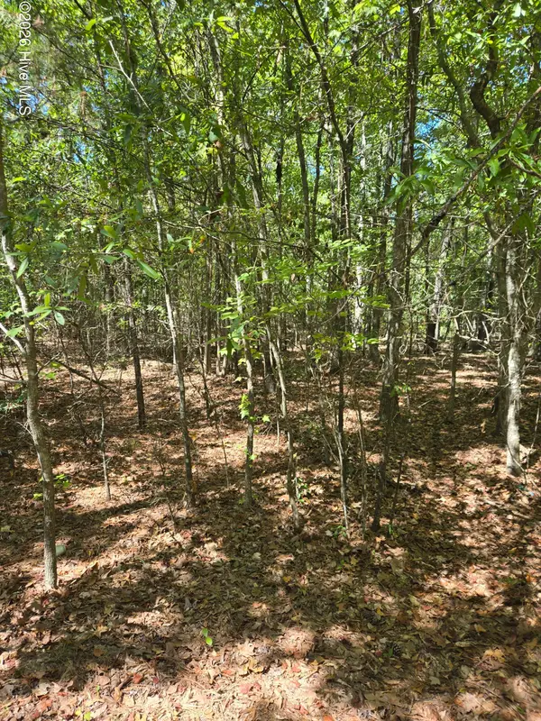 0 Partridge Town Rd Road, Lincolnton, GA 30817
