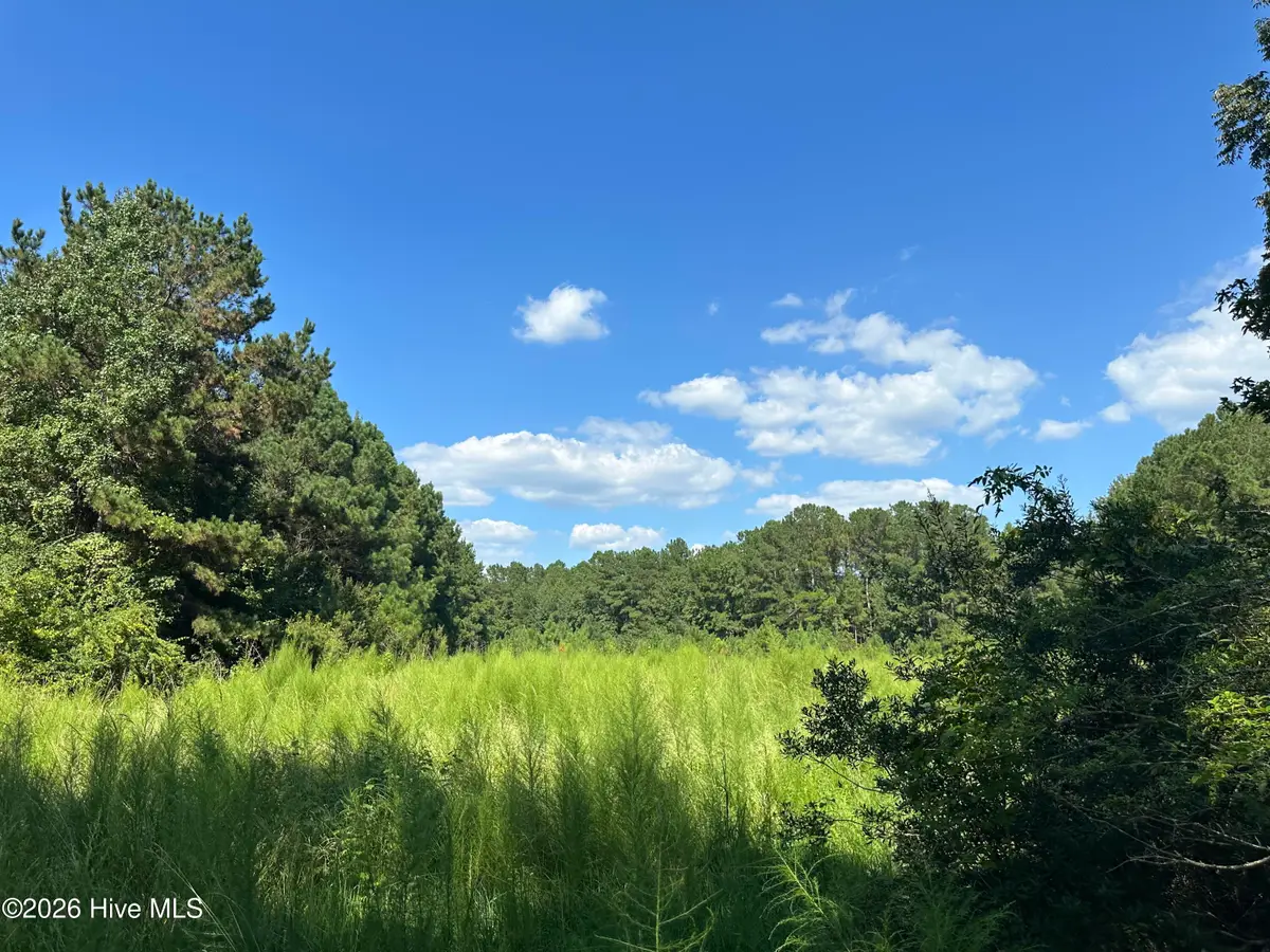 1268 Cherry Town Road, Hallsboro, NC 28442 - #1