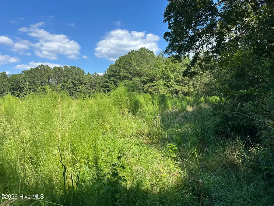 1268 Cherry Town Road, Hallsboro, NC 28442 - #2