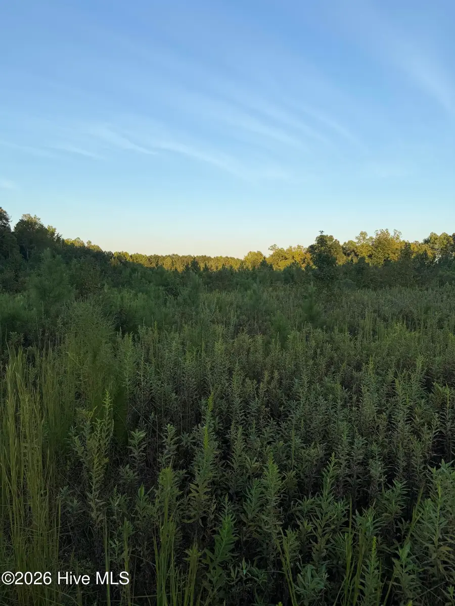 Lot 28 Hope Creek Trail, Spring Hope, NC 27882 - #2