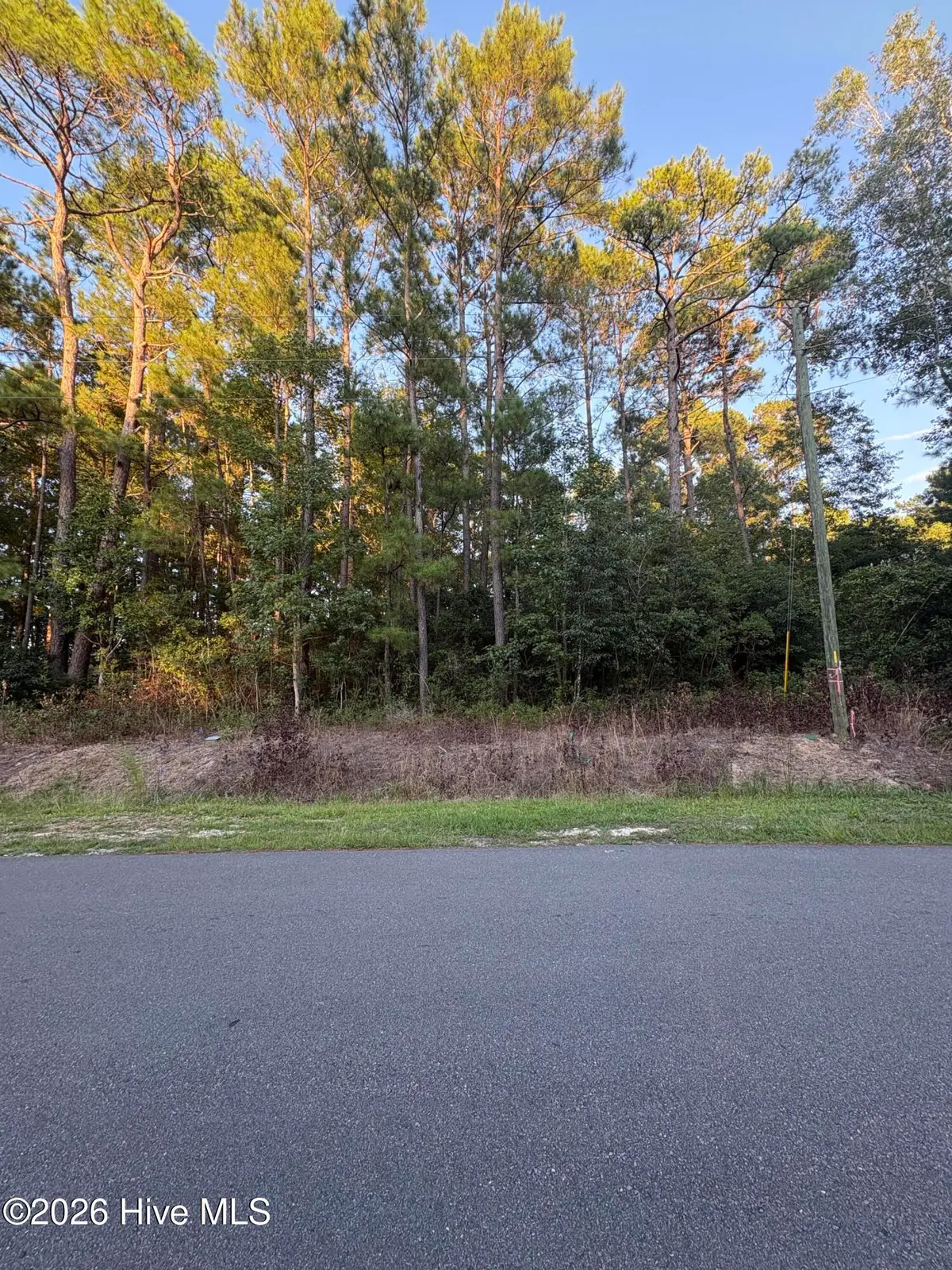 524 Boundary Loop Road Nw, Calabash, NC 28467 - #1
