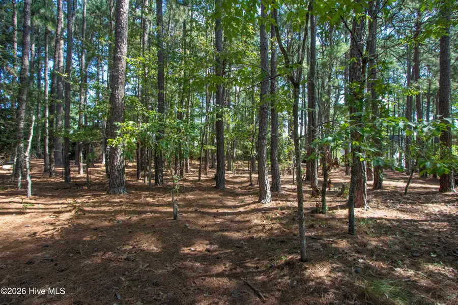 245 Pine Vista Drive, Pinehurst, NC 28374 - #2