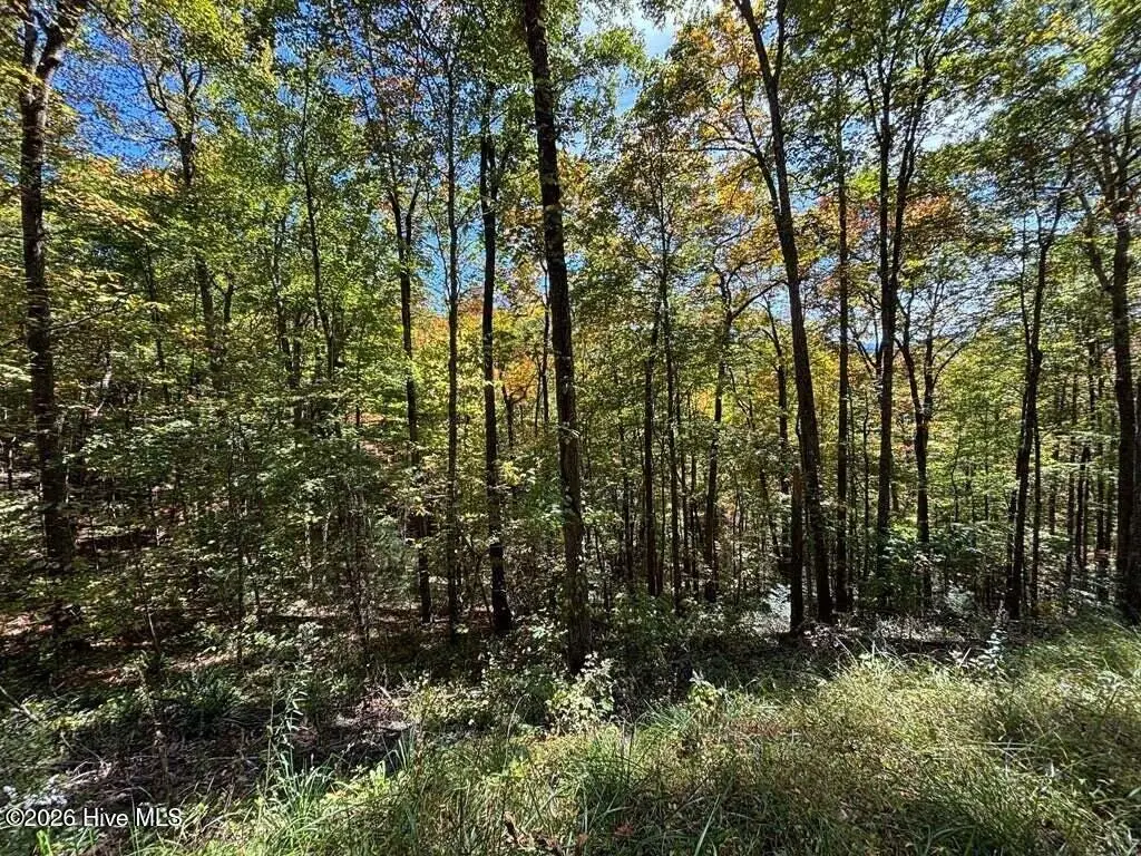2 Holly Ridge Drive, Topton, NC 28781 - #1