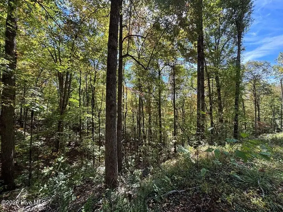 2 Holly Ridge Drive, Topton, NC 28781 - #2