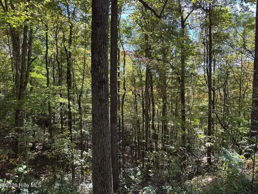2 Holly Ridge Drive, Topton, NC 28781 - #3