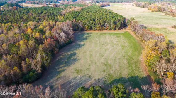 41.5 Acres High School Road, Teachey, NC 28464