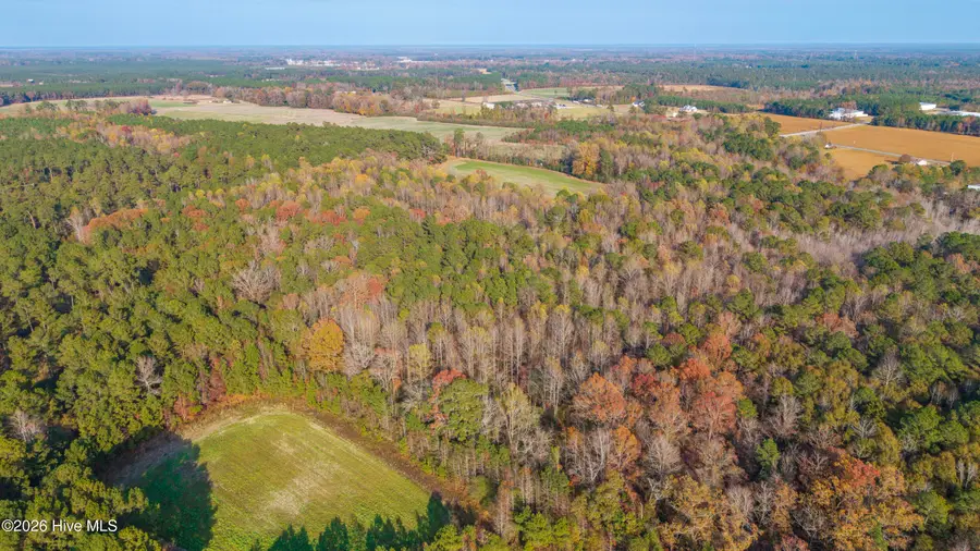 41.5 Acres High School Road, Teachey, NC 28464 - #2