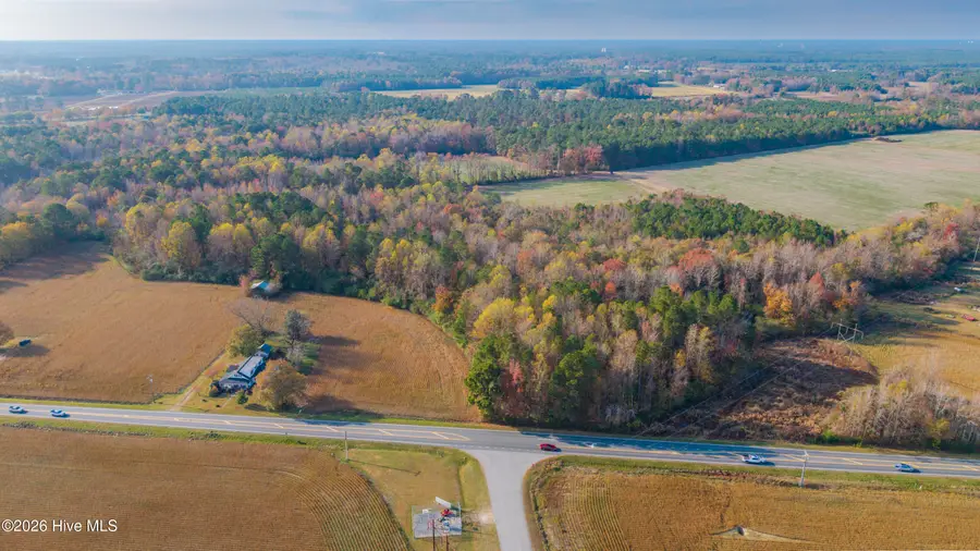 41.5 Acres High School Road, Teachey, NC 28464 - #3