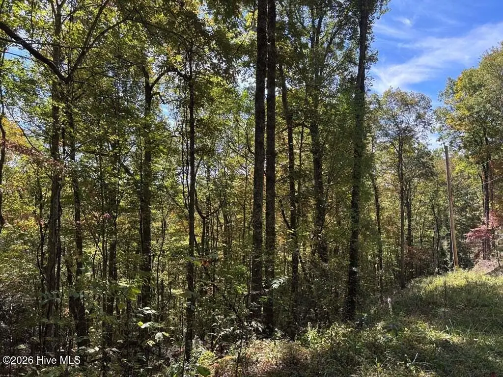 3 Holly Ridge Drive, Topton, NC 28781 - #1