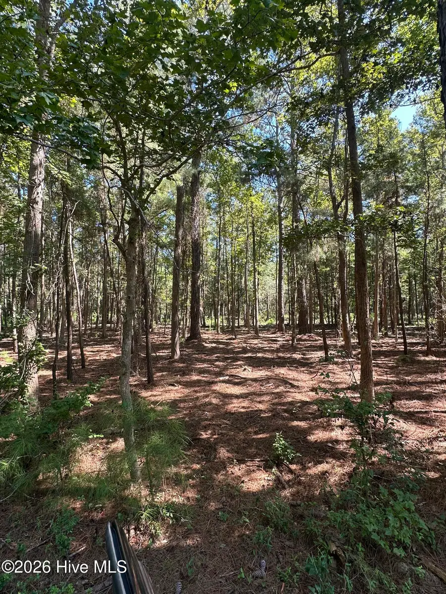 1380 Manuel Lane Sw, Supply, NC 28462 - #2