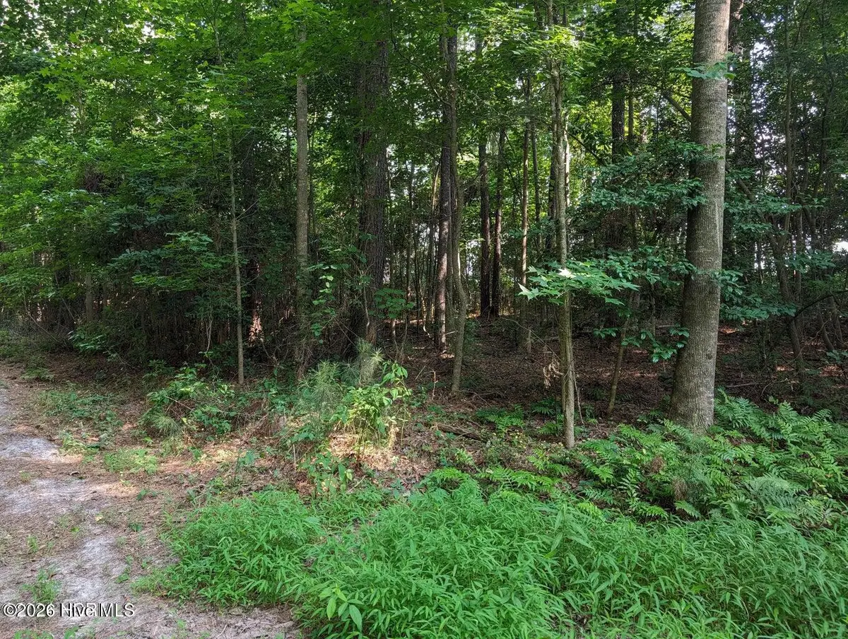 4595 Mercer Mill Brown Marsh Road, Clarkton, NC 28433 - #1