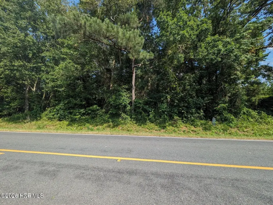 4595 Mercer Mill Brown Marsh Road, Clarkton, NC 28433 - #2