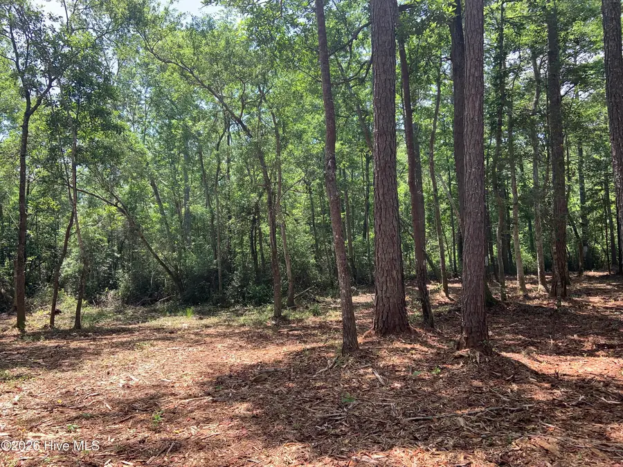 Na Dandy Acres Lane (easement), Lockwoods Folly, NC 28462 - #2