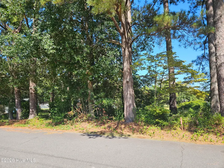 2 Fourth Street, Clinton, NC 28328 - #2