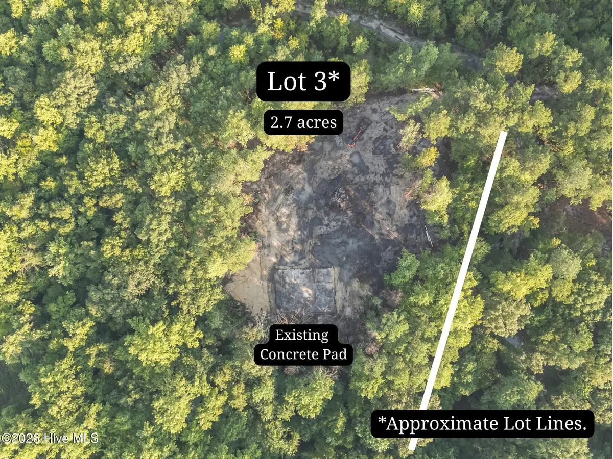 0 Us Hwy 117 N #Lot 3, Willard, NC 28478 - #1