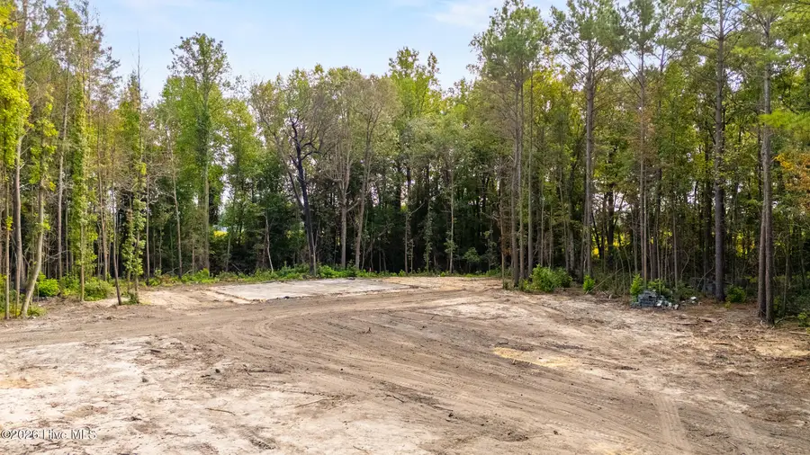 0 Us Hwy 117 N #Lot 3, Willard, NC 28478 - #2
