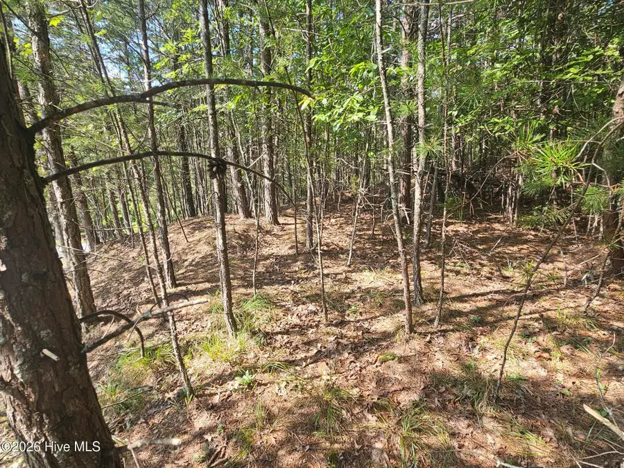 Lot 76 Wildcat Drive, Murphy, NC 28906 - #2