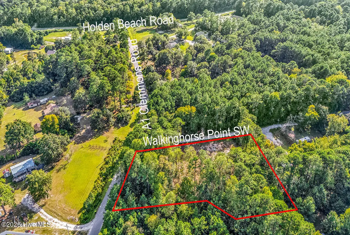 390 Walking Horse Point Sw, Shallotte, NC 28470 - #1