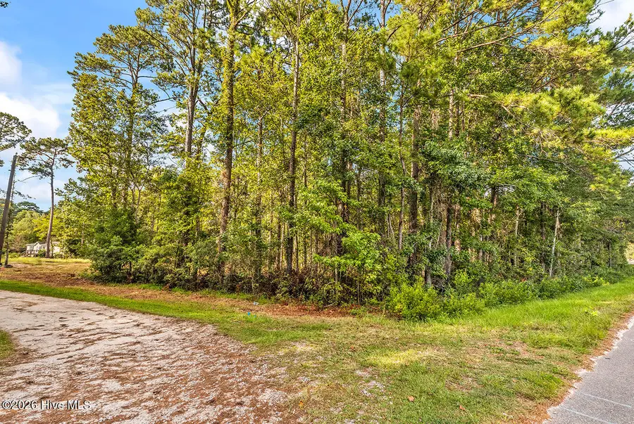 390 Walking Horse Point Sw, Shallotte, NC 28470 - #3