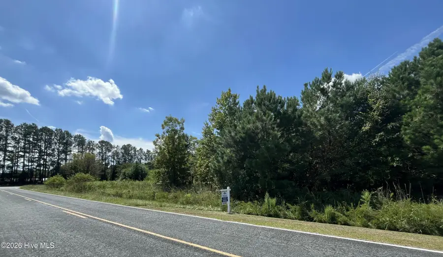1923 Leonard Rich Road, Magnolia, NC 28453 - #2