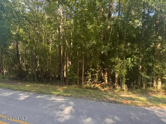 B02-16 Olympia Road, New Bern, NC 28560 - #1