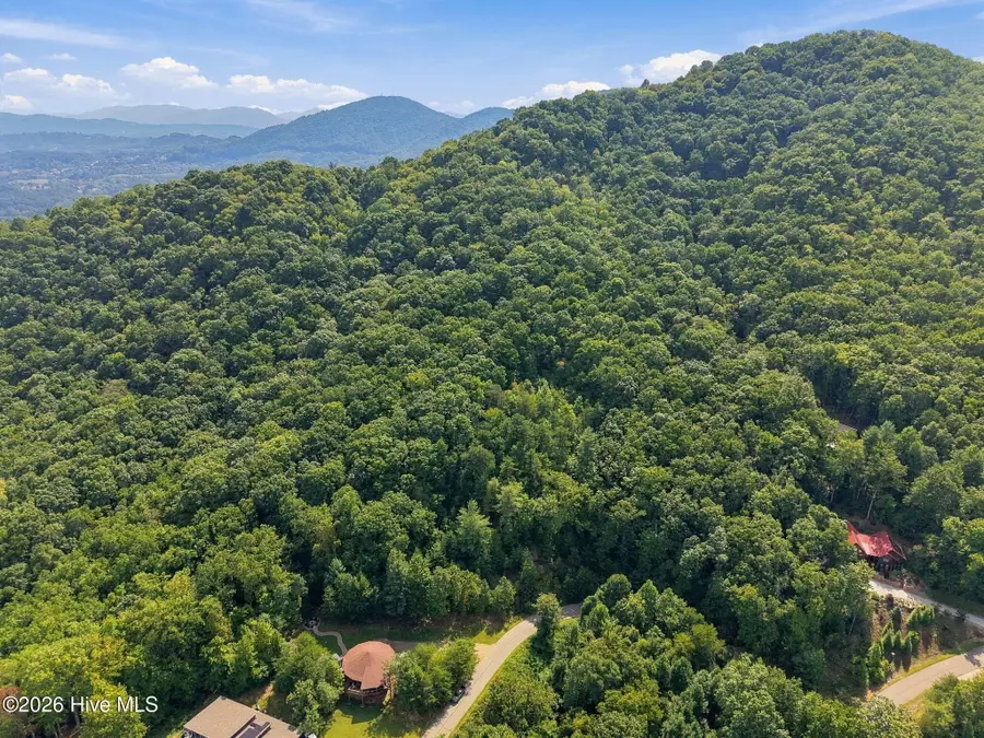 75 Balsamwood Road, Leicester, NC 28748 - #3