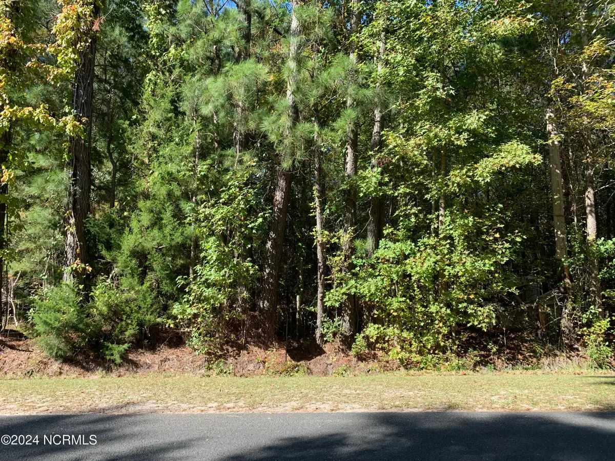 Lot G Tobes Road, Bolivia, NC 28422 - #1