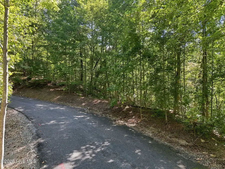 0 Nathan Mcdaniel Drive, Nebo, NC 28761 - #2